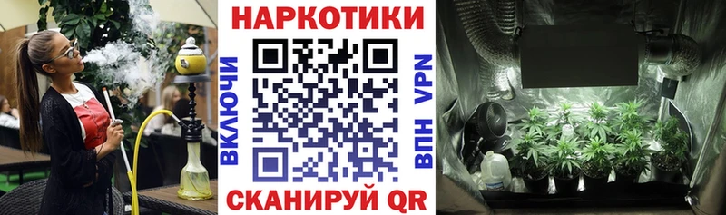 Какие есть наркотики Котлас Галлюциногенные грибы  АМФЕТАМИН  ГАШИШ  APVP  Конопля 