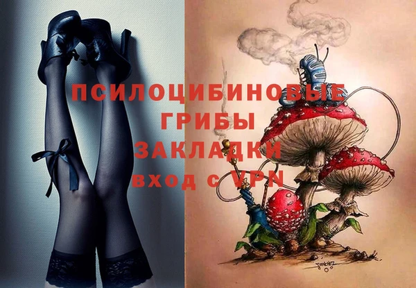 альфа пвп Алексеевка