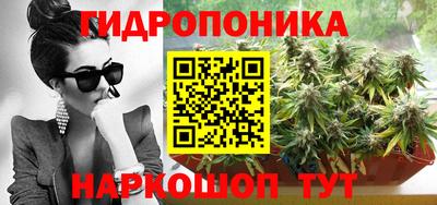 прущий лед Кингисепп