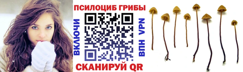 Галлюциногенные грибы Magic Shrooms  мориарти Telegram  Котлас 