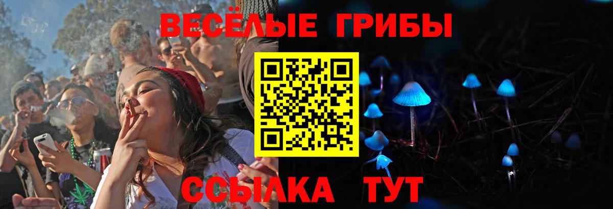 Псилоцибиновые грибы мицелий  Вход с VPN  Псилоцибиновые грибы прущие грибы  Котлас 