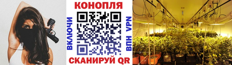 Каннабис Ganja Котлас